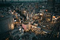 Uitzicht over Tokyo