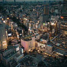 Uitzicht over Tokyo van Sascha Gorter