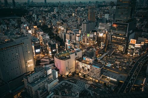 Uitzicht over Tokyo