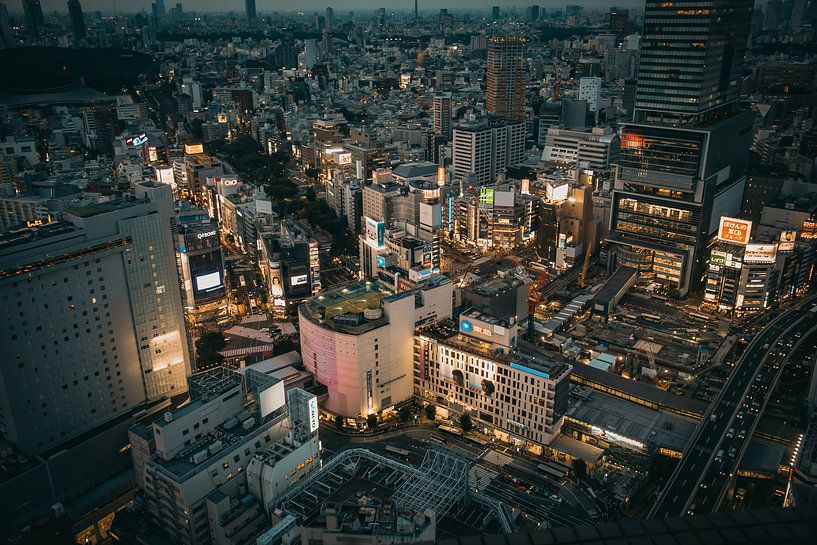 Views over Tokyo by Sascha Gorter