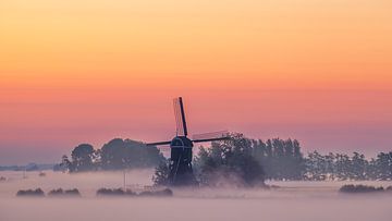 Fields of fog van Halma Fotografie