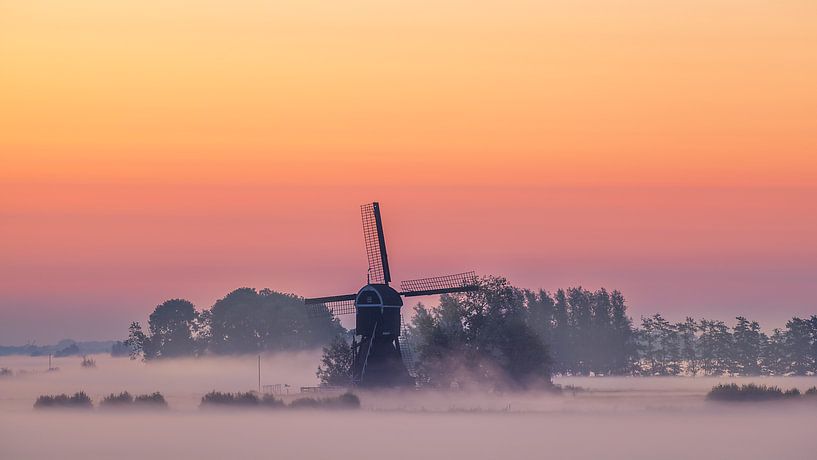 Fields of fog by Halma Fotografie