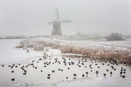 Winter in the Alblasserwaard by Ko Hoogesteger