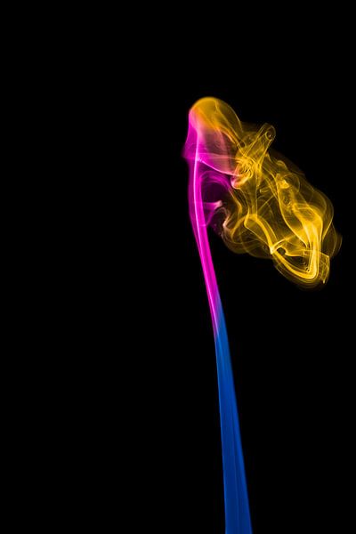Smokey Women par Ester Ammerlaan