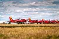 RED DEVILS