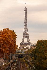 Autumn in Paris by Rob van der Teen