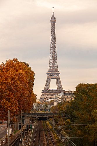Autumn in Paris by Rob van der Teen