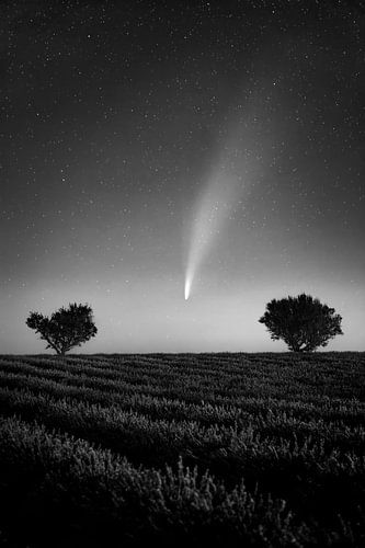 Komeet Neowise c/2020 F3 in Frankrijk. Zwart-wit beeld.