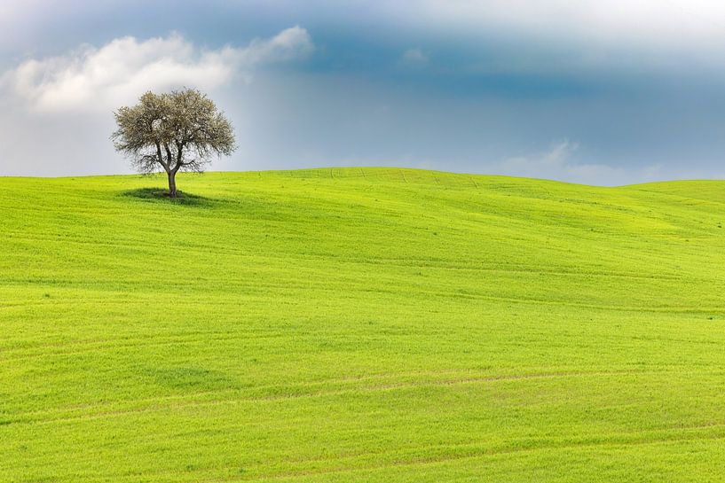 Lente in de Val d'Orcia van Dirk Rüter