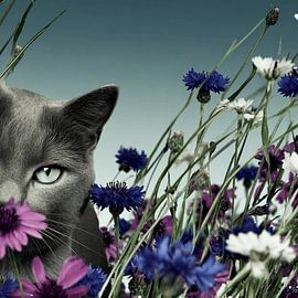 Erwischt | Lustiges Katzenporträt von der Katze, die glaubt, sich versteckt zu haben von KRAB