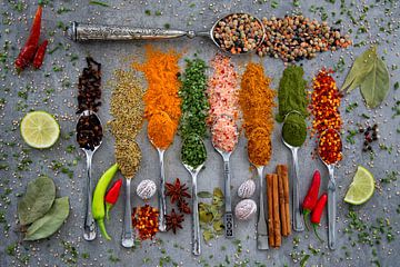 Herbs and spices on spoons by Francis Dost