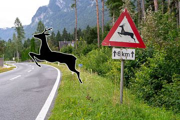 Wildwechsel von Stephan Zaun