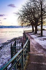 Ufer Bodensee von Dieter Walther