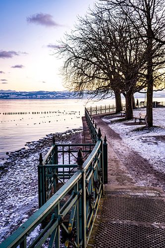 Oever van het Bodenmeer