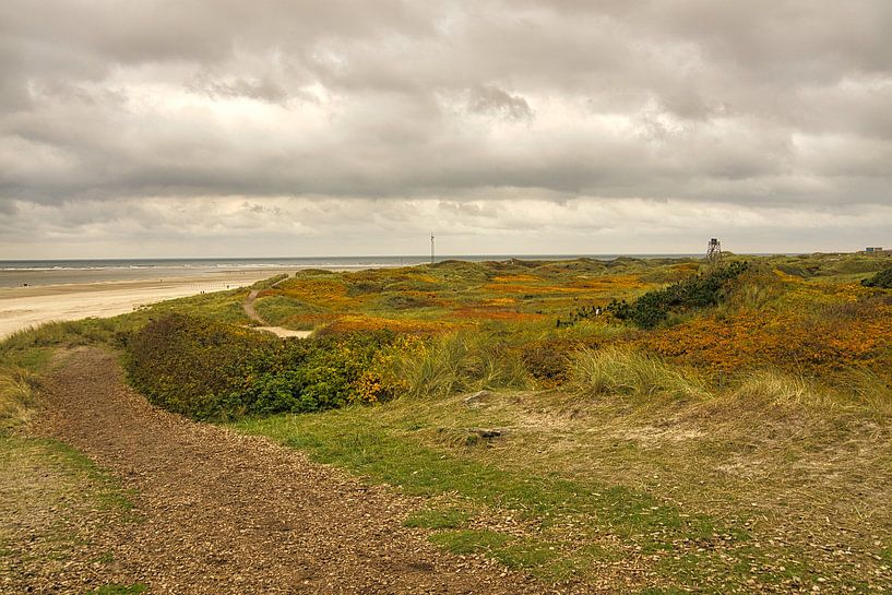 Blåvand duinlandschap in Denemarken aan de Noordzee van Martin Köbsch