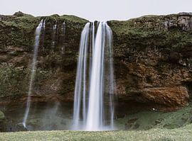 Echos dans la brume sur Diana Birjac Photos