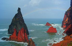 Madeira sur Michel van Kooten