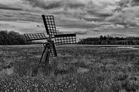 Tjasker