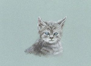 Süße kleine Katze Pastellgemälde von Karen Kaspar