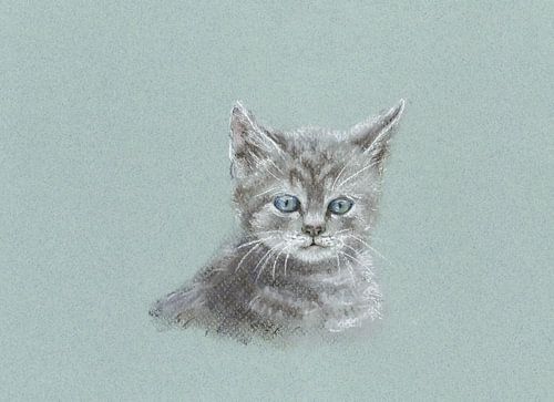 Schattige kleine kat pastel schilderij