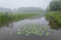 Polderpark Cronesteyn, Leiden