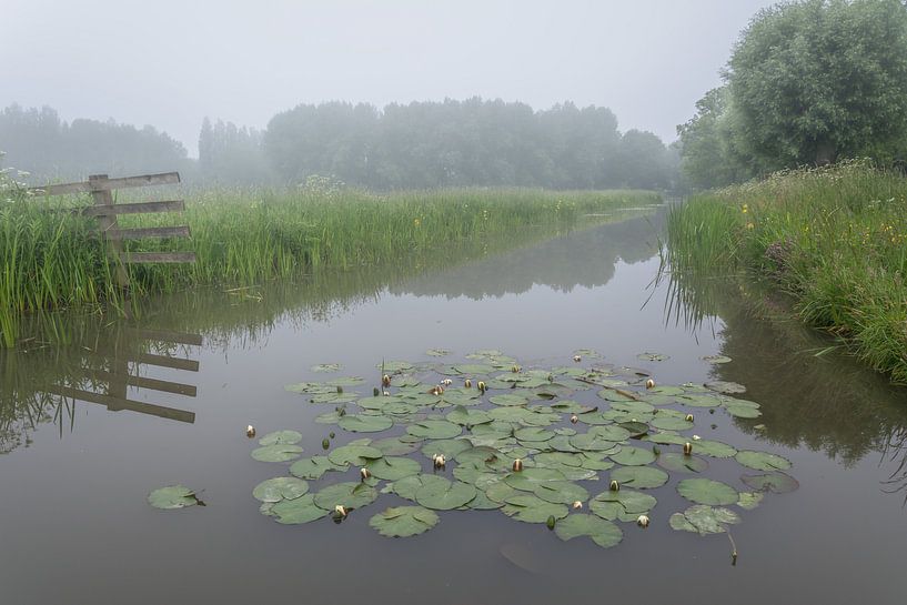 Polderpark Cronesteyn, Leiden par Carla Matthee