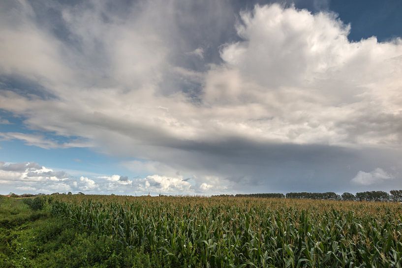 Wolken über Maisfelder van Rolf Pötsch