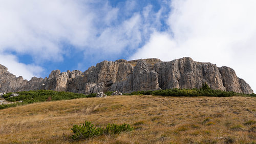 Nature of Italy - South Tyrol - Rosengarten Cliffs Above Golden Autumn Meadows