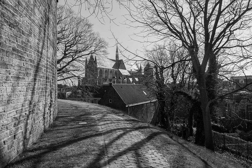 The Burcht and Hooglandse Church in Leiden by Peter Bartelings