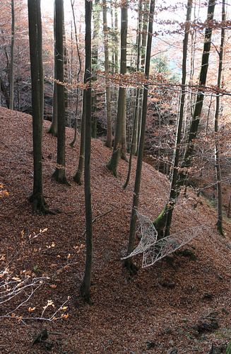 Book folder slope perspective_nature-art installation