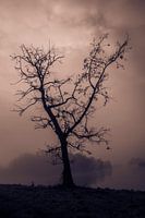 Standing strong II