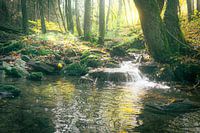 Dreamy cascade among trees in autumn colours