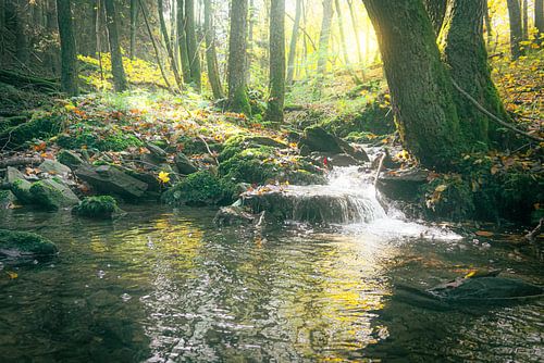 Cascade de rêve parmi les arbres aux couleurs de l'automne