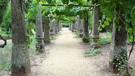Quinta do Mateus - Portugal - Pergola von Frans Collette