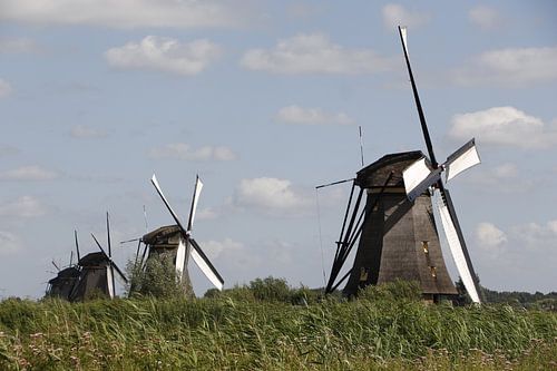 Kinderdijk Windmills