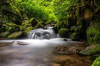 photo à longue exposition d'une petite chute d'eau dans la forêt noire, en allemagne