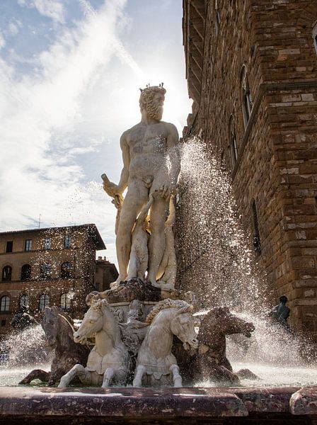 Fontana del Nettuno von Ton Tolboom