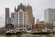 Het Witte Huis en de Oude Haven in Rotterdam. van Don Fonzarelli thumbnail