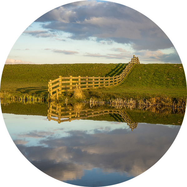 Gespiegeld landschap van Roelof Nijholt