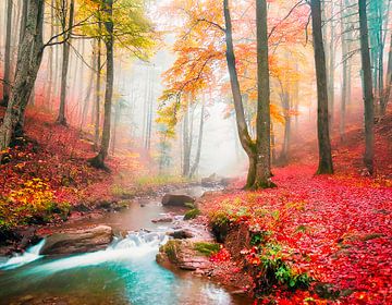 Wald mit einem Bach von Mustafa Kurnaz