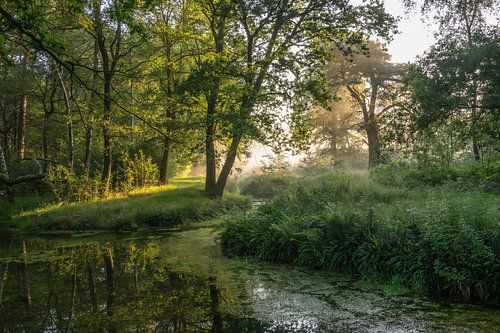 Wolfhezerheide part 97