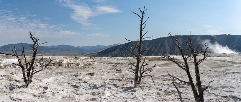 Mammoth Hot Springs, Yellowstone-Nationalpark, USA von Jeroen van Deel