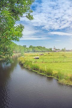 Stadsgracht In De Zomer