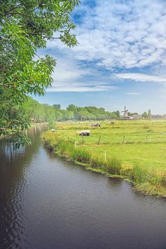 Canal de la ville en été