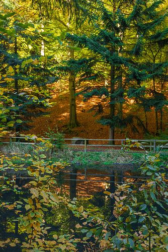 Im Teich spiegeln sich die bunten Herbstfarben