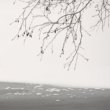 At The Frozen Lake