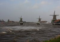 De Zaanse Schans de storm trotserend aan de oever van de Zaan.