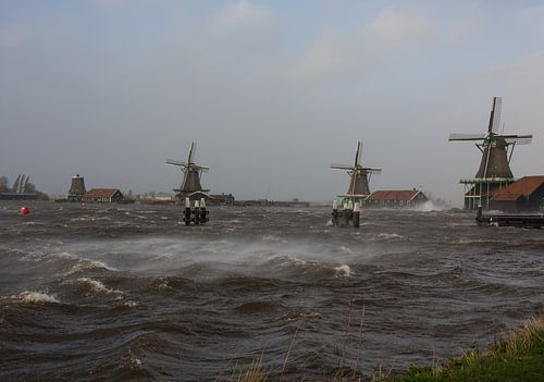 De Zaanse Schans de storm trotserend aan de oever van de Zaan.