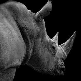 Rhinozeros von Mirthe Vanherck