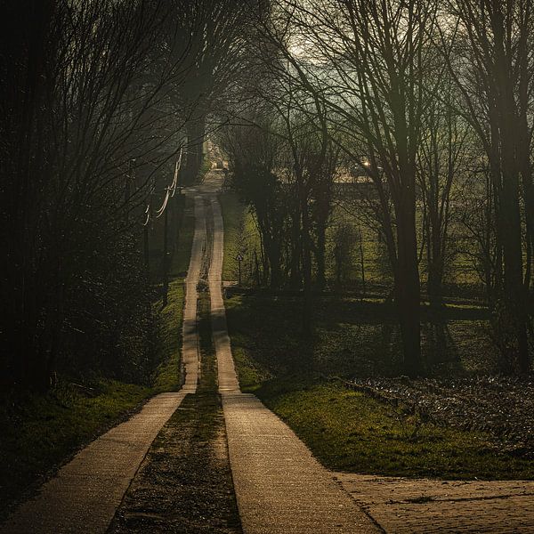 Waldweg von Patrick Mertens aka Pat Probleme